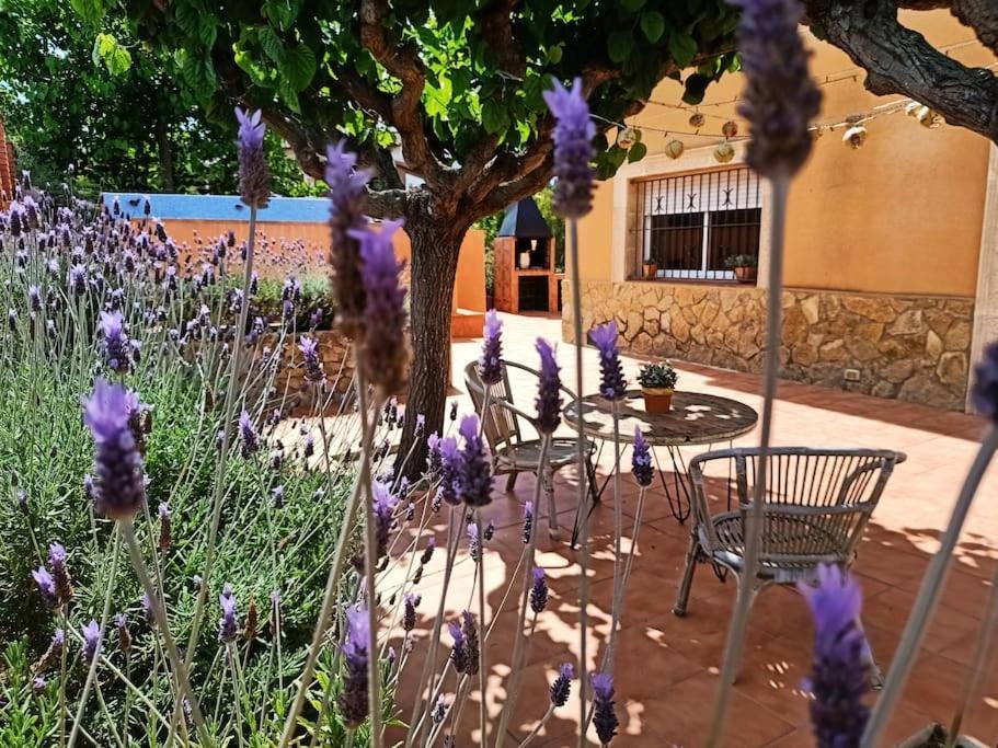 Mas Del Vent- Barbacoa, Jardin, Piscina Privada Y Vistas A Mar Villa Cunit Exterior photo